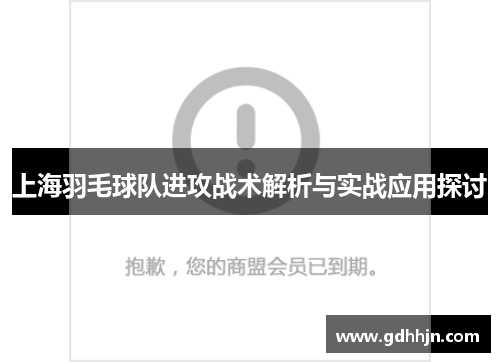 上海羽毛球队进攻战术解析与实战应用探讨